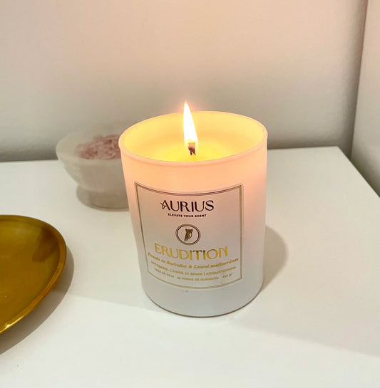 VELA ERUDITION | Concentración & Claridad Mental