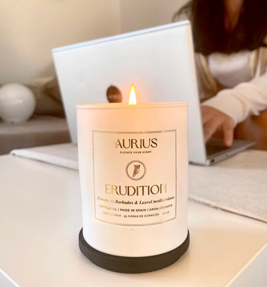 VELA ERUDITION | Concentración & Claridad Mental