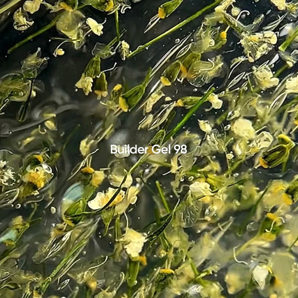 NAILSOFTHEDAY Builder Gel 98 — builder gel transparente con flores secas, 15 ml