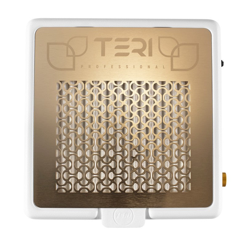 TERI PLETINA SOBREMESA GOLD